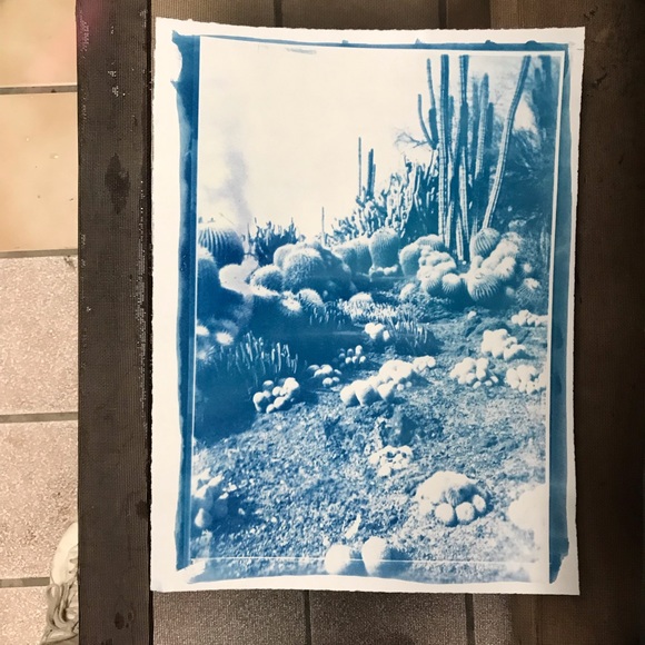 @_Callisa - Picture 4 of 8